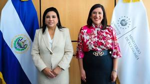 秘鲁总统在国庆节致辞中最紧迫的宣布是什么？