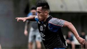 秘鲁国家检察官表示，对游行抗议期间死亡事件的初步调查已进入最后阶段