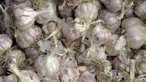 秘鲁国会第三次推迟对“堵嘴法”的最终投票