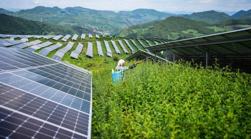 China cuenta con el sistema de energía renovable más grande y de más rápido crecimiento del mundo, afirma máximo planificador económico chino【秘鲁新世界日報】