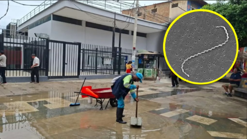 秘鲁全国疫情概况：钩端螺旋体病病例持续上升【秘鲁新世界日报】