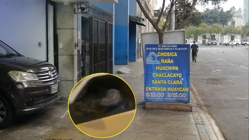 尽管巴士司机同事遭遇袭击：利马-乔西卡路线司机仍坚持出工【秘鲁新世界日报】