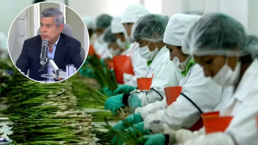 藤森庆子政府将对农产品出口税收优惠政策进行审查【秘鲁新世界日报】