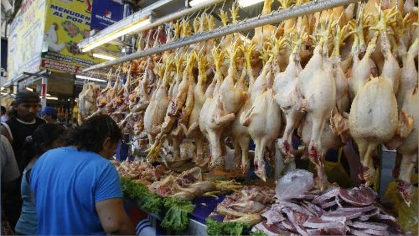 鸡肉价格跌至年内最低点：利马零售市场平均售价为每公斤8.67索尔【秘鲁新世界日报】