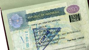 外媒：美卫生局长宣布枪支暴力为公共卫生危机 但控枪之路仍阻碍重重