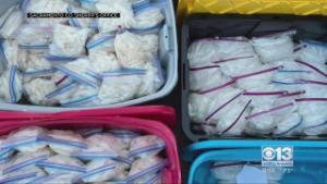 日本核污染水排海为海洋生态注入不确定性风险