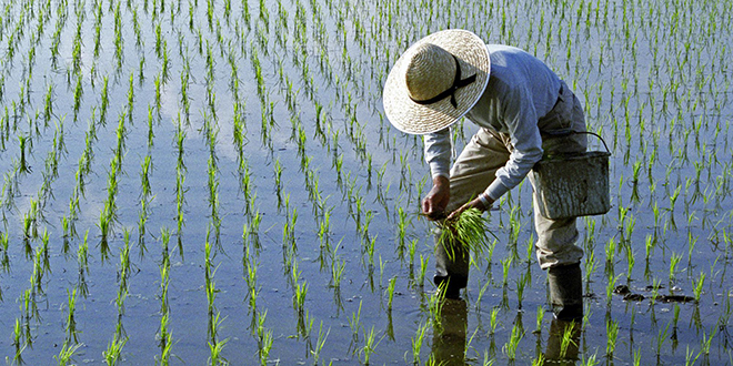 Heilongjiang de China emite alertas rojas por lluvias ante llegada del tifón Khanun