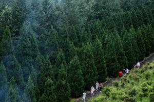 China emite directrices para acelerar transición ecológica de desarrollo económico y social