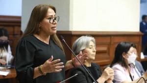 据电视台节目Cuarto Poder 称，秘鲁国会议员 (Jorge Flores) 暗示一些议员参与了减薪案