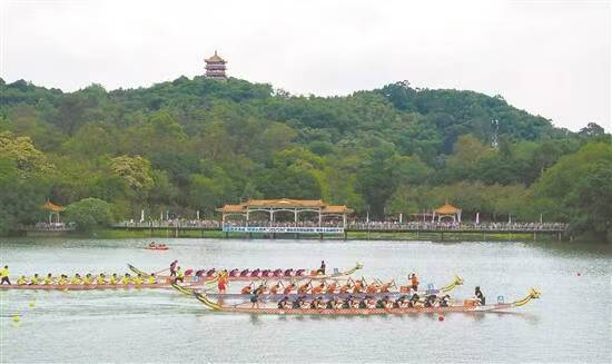 岭南龙舟：看得见乡愁根系，触得到未来枝芽【秘鲁新世界日报】