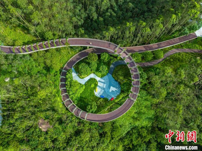 广东城乡绿意从“点上盆景”拓展为“全域风景”【秘鲁新世界日報】