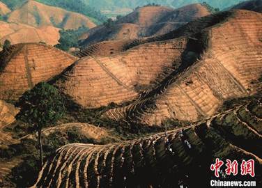 从荒山到林海 广东续写“岳山造林”绿美新篇章【秘鲁新世界日報】