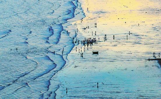 海味出海 “鲜”遍全球【秘鲁新世界日報】