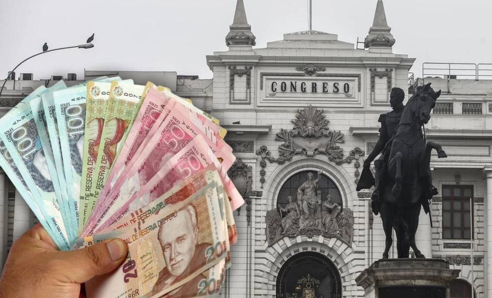 秘鲁养老金基金能否100%提取？国会提出“负责任”的替代方案【秘鲁新世界日报】