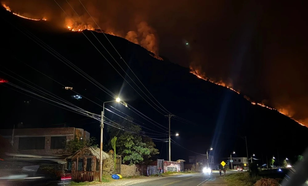 秘鲁Cusco发生森林火灾，数百公顷土地和牲畜受灾，一人被捕【秘鲁新世界日报】