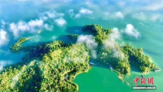 探访广东万绿湖国家湿地公园：绘就生态绿美新画卷【秘鲁新世界日報】