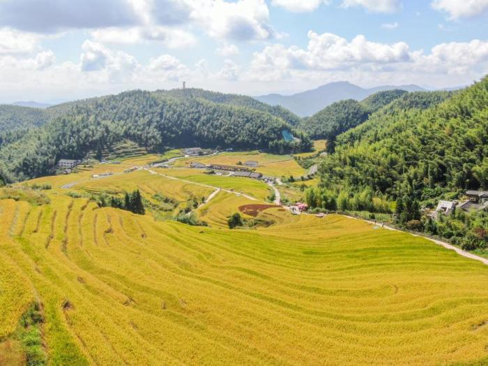 农业农村部：2025年中国农业发展全面绿色转型迈入关键阶段【秘鲁新世界日報】