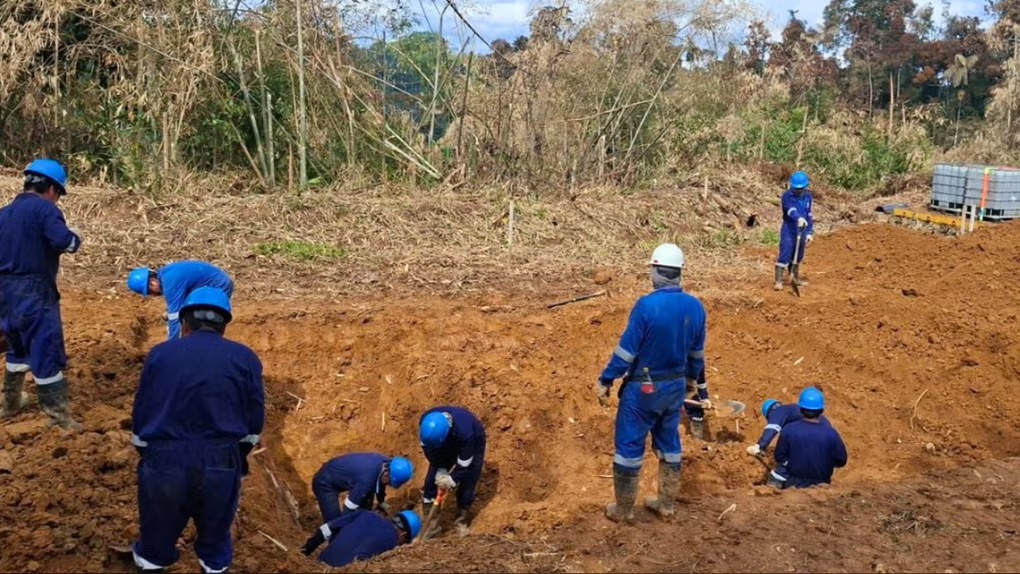 秘鲁能源和矿业部：TGP完成卡米塞亚天然气管道52%维修，预计按期完工【秘鲁新世界日报】