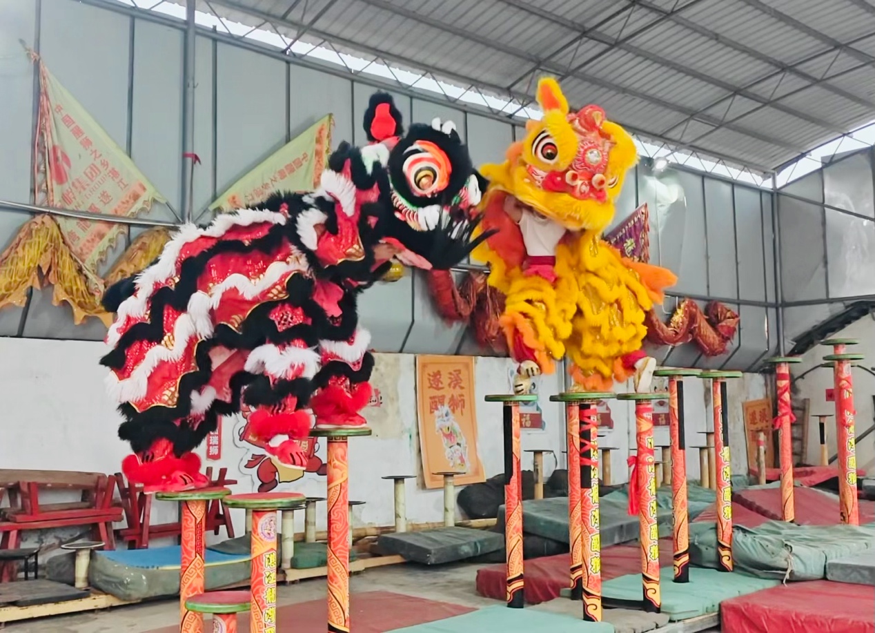 “中国醒狮之乡”广东遂溪狮鼓声中的年味【秘鲁新世界日報】