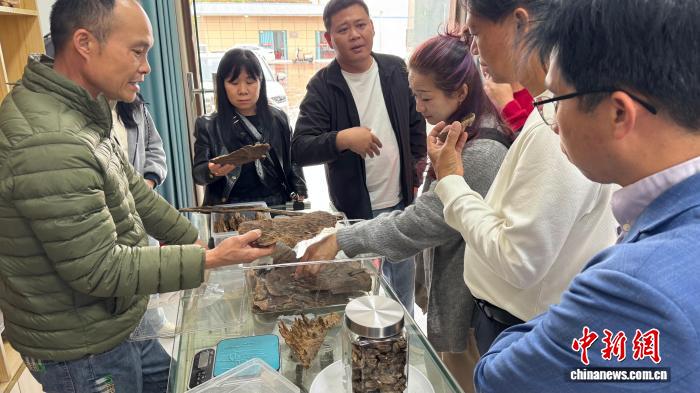 广东电白厚植“香村”绿色家底 “贫困村”变身“亿元村”【秘鲁新世界日報】