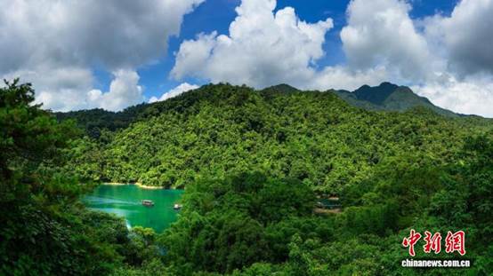 从鼎湖山启序 70年广东自然保护地建设实现跨越式发展【秘鲁新世界日報】