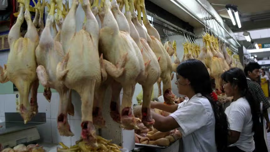 鸡肉价格上涨：一个月内上涨27%，利马市场鸡肉价格突破每公斤11索尔【秘鲁新世界日报】