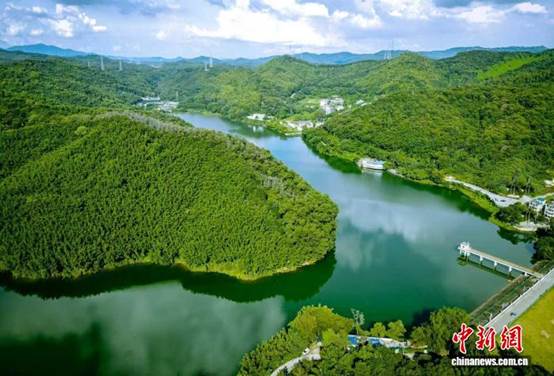 探访广州面积最大的红锥林：涵养水源 留存城市绿色空间【秘鲁新世界日報】