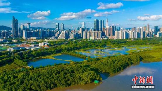 《共生之城：人与自然和谐共生的深圳实践》白皮书发布【秘鲁新世界日報】