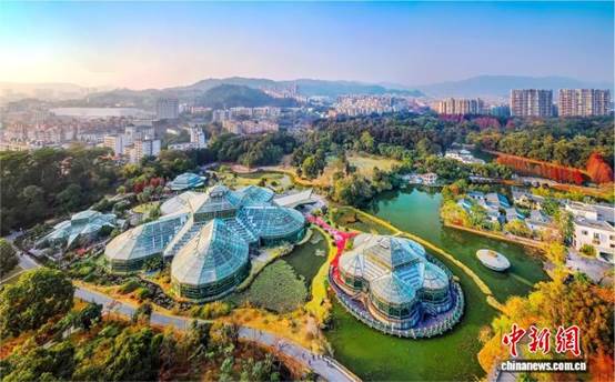 广东林业“十五五”规划：到2030年林业产业总产值达1.3万亿元【秘鲁新世界日報】