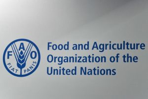 联合国：拉美及加勒比海地区4300万人挨饿