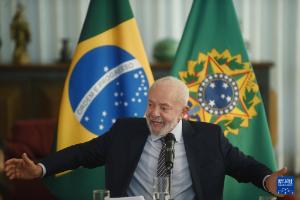 巴西登革热确诊及疑似病例总数超200万例