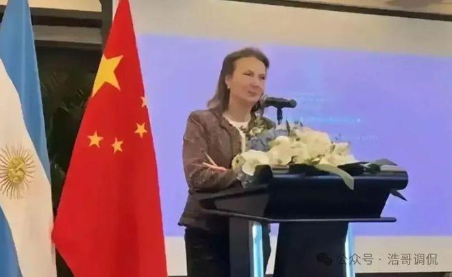 巴西外长维埃拉访问土耳其