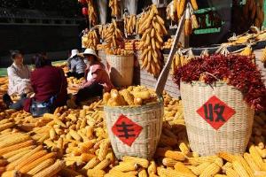 “搬不走、分不开” 中韩应相向而行