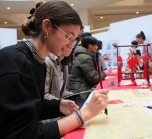 “中文＋”模式助力国际中文教育多元发展