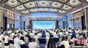 广西邀企业共同培育发展新质生产力 拓展东盟市场