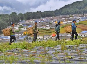 中国出台专项方案实施巩固易地搬迁脱贫成果行动 强化资金保障