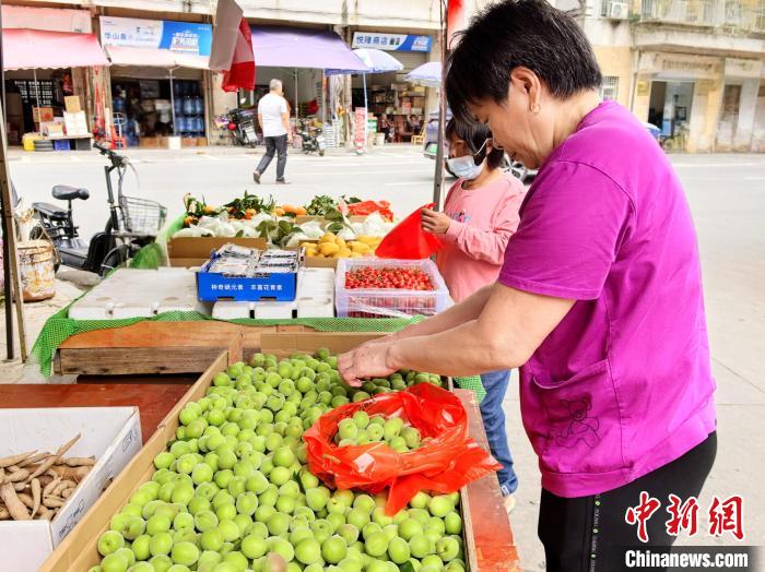 2023年广东口岸茶叶出口量4600多吨 乌龙茶出口量最大