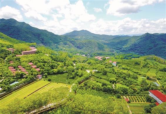 雁南飞：梅县践行“两山”理论的积极探索
