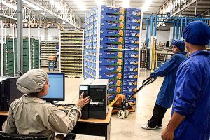 Capacidad productiva e internacionalización