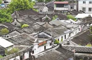 广东推动天然林保护与公益林管理并轨 释放绿色空间