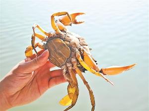 中国首条客货共线铁路海底隧道工程盾构始发