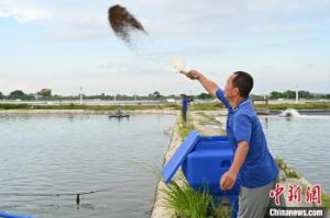 金融赋能“中国海鲜美食之都” 湛江渔业生机勃勃
