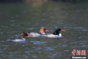 这份广州攻略收好了！二十四节气中的羊城美景，你睇过未？